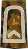 EMBLEMA - GERMAN ARMY FLECKTARN CAMO/SILVER SHOULDER LOOPS ´FELDWEBEL´