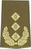 GERMAN ARMY O.D./GOLD SHOULDER LOOPS ´GENERAL-LEUTNANT´