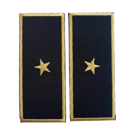 GRADE SEF ADJUNCT BIROU VAMAL - CEREMONIE/ NEGRU