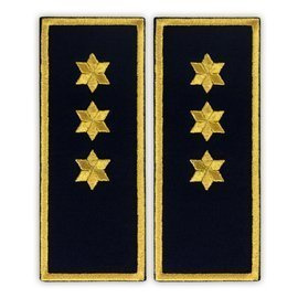 Grade inspector principal penitenciar ANP