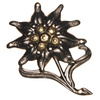 Insigna, emblema BW Edelweiss