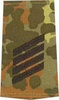 EMBLEMA - GERMAN ARMY FLECKTARN CAMO/BLACK SHOULDER LOOPS ´STABSGEFREITER´