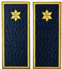 Grade subinspector penitenciar, ANP