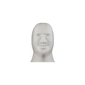 3D Shooting Dummy Head Only