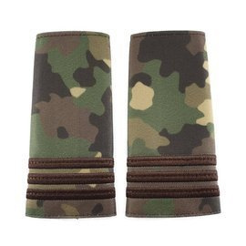 GRADE CAPITAN COMBAT FORTE TERESTRE