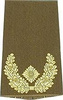 EMBLEMA - GERMAN ARMY O.D./GOLD SHOULDER LOOPS ´BRIGADE-GENERAL´