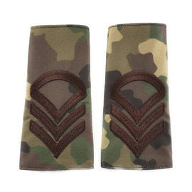 Grade Caporal clasa I - Camuflaj Combat Forte Terestre - Cu Semn de Arma Informatii pentru aparare