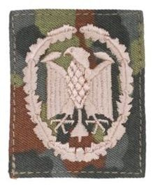 PATCH GENUINE GERMAN ACHIEVEMENT BADGE BRONCE ON FLECKTARN CAMO FABRIC 55 x 45 MM