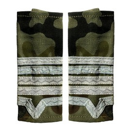 GRADE MAISTRI MILITARI, FORTE TERESTRE - MAISTRU MILITAR CLASA I FARA SEMN DE ARMA, COMBAT - SURPLUS MILITAR ARMATA ROMANA - UZATE