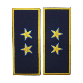 GRADE DIRECTOR EXECUTIV VAMA - REPREZENTARE/ BLEUMARIN