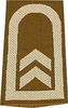 EMBLEMA - GERMAN ARMY O.D./SILVER SHOULDER LOOPS ´OBERFELDWEBEL´