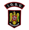 Emblema Pompieri ISU, IGSU cu suport negru si aplicare prin coasere