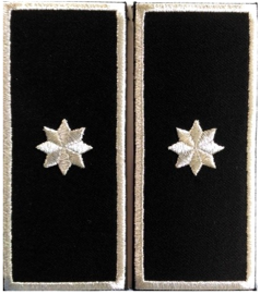 Grade Sef Politia Locala